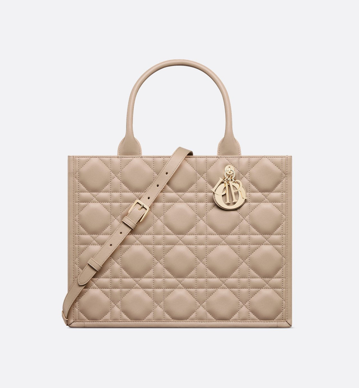 Dior Sac Book Tote Medium Rose