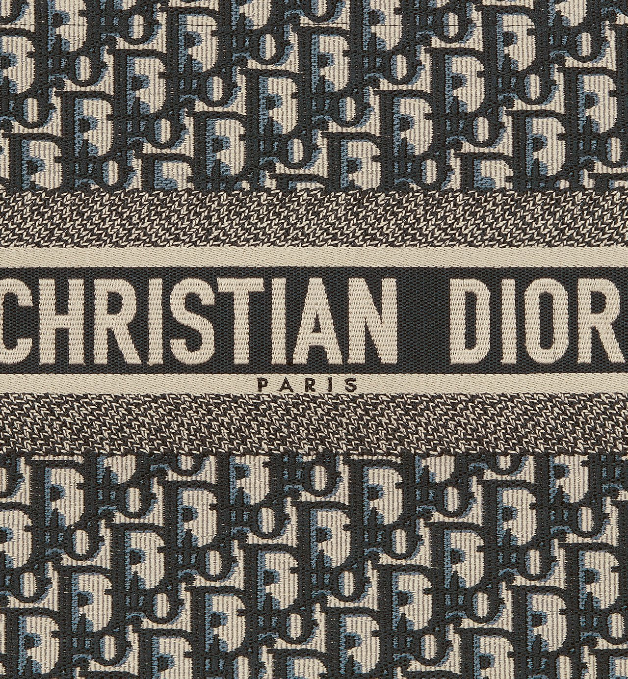 Dior Sac Book Tote Medium Bleu