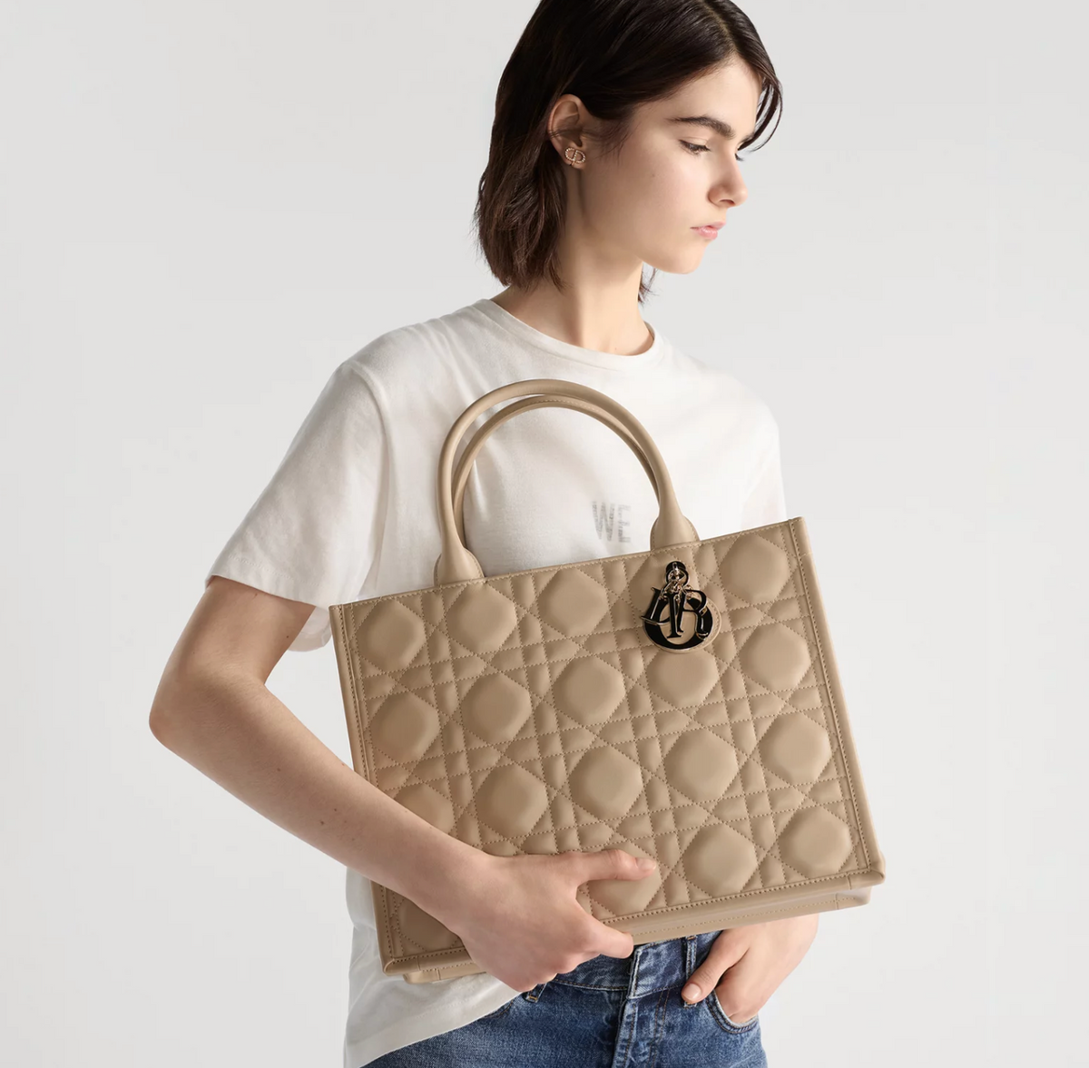 Dior Sac Book Tote Medium Rose