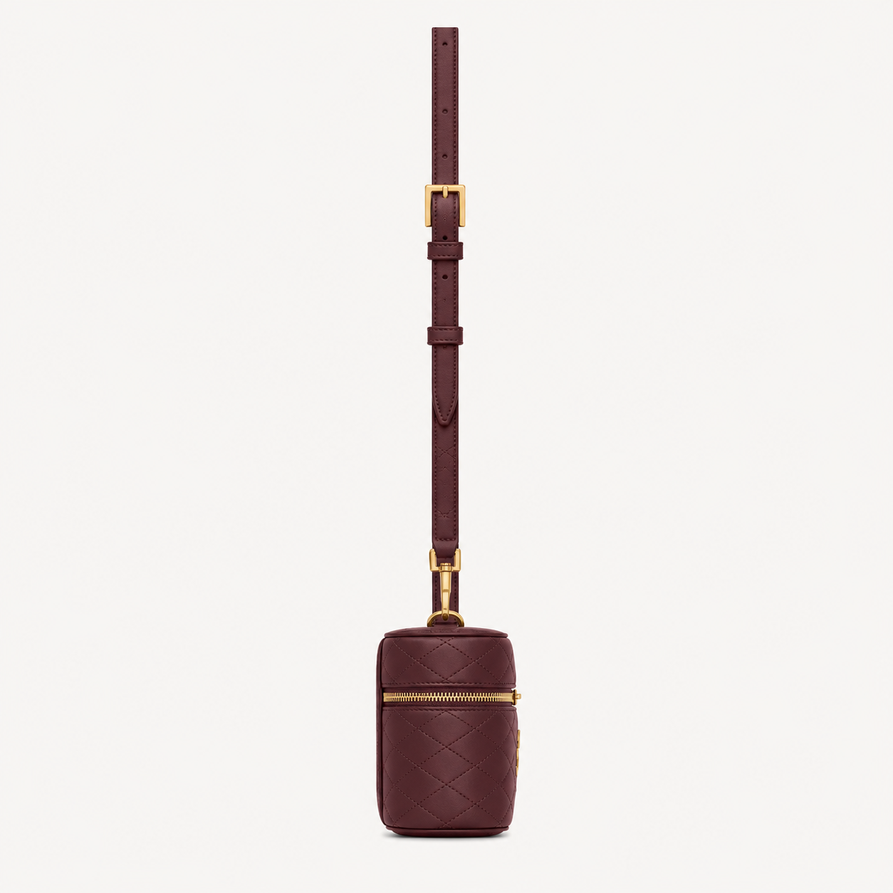 Saint Laurent Gaby Vanity Bag