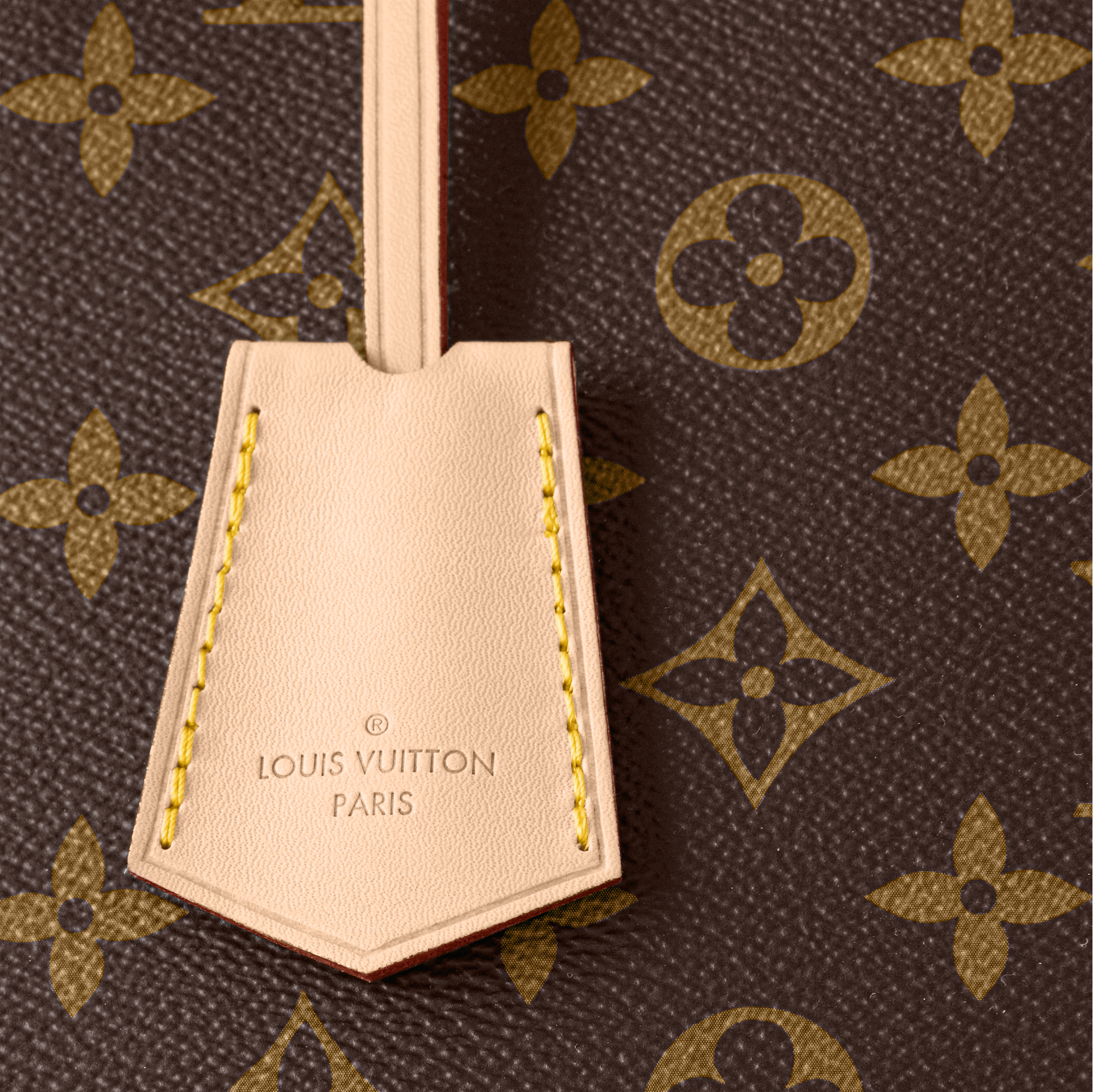 LV Sac Alma PM Toile Monogram