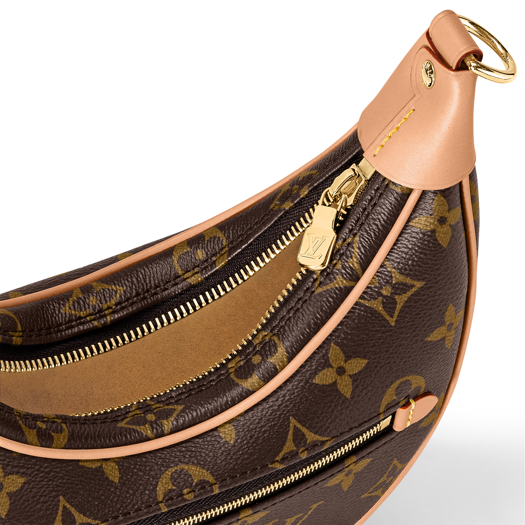 LV Sac Loop