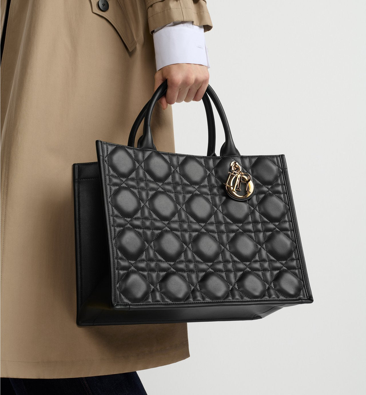 Dior Sac Book Tote Medium Noir