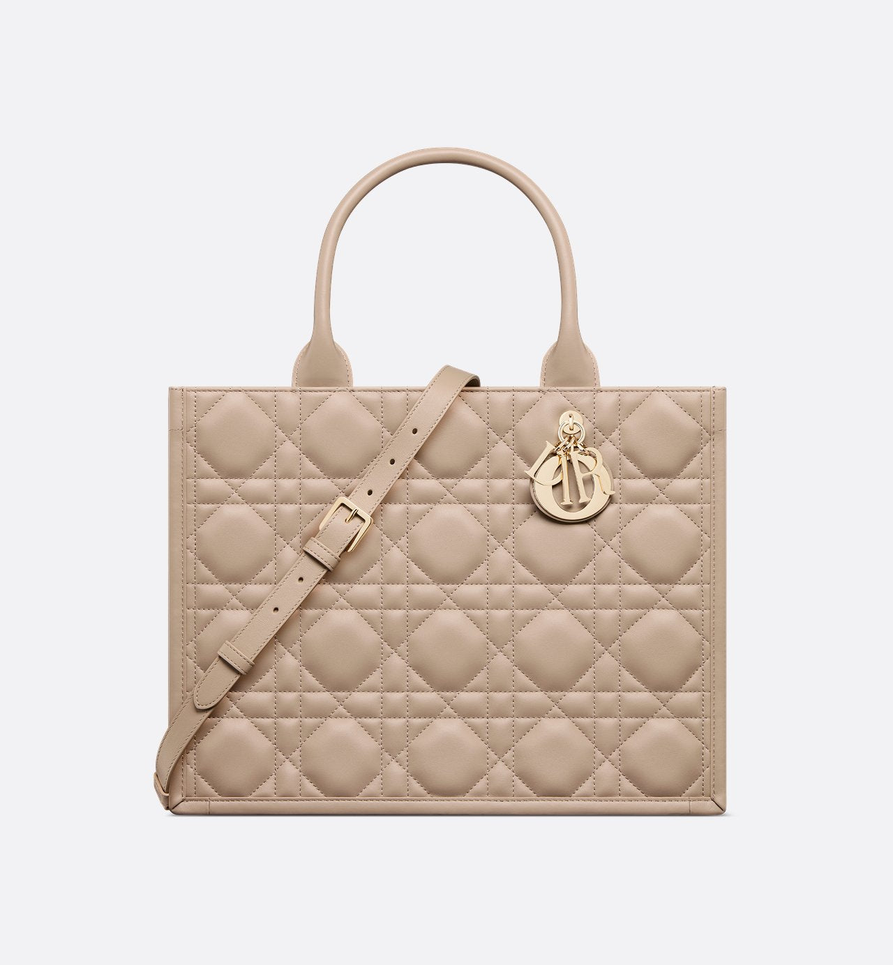 Dior Sac Book Tote Medium Rose