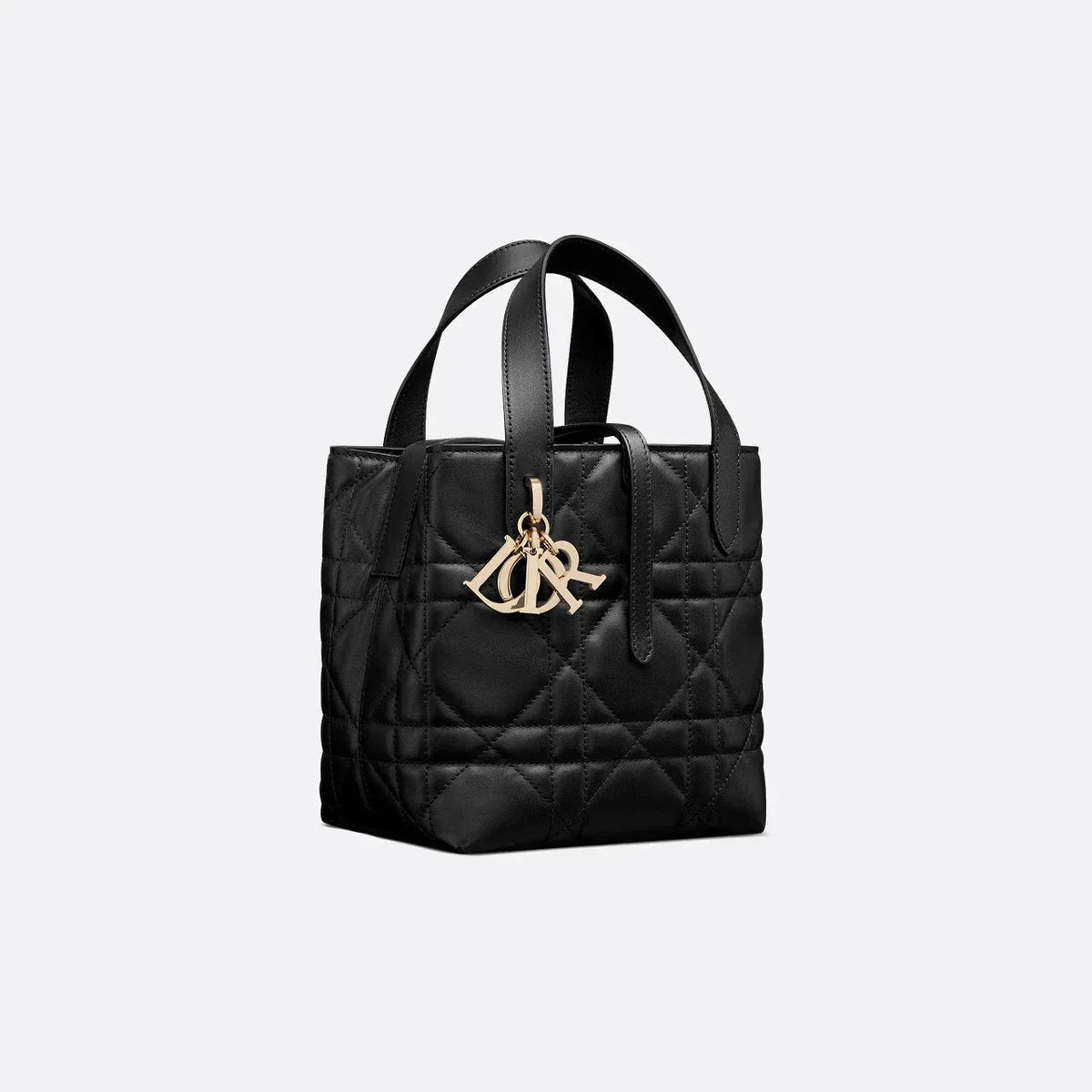 Dior Cabas Vertical Toujours Small Noir