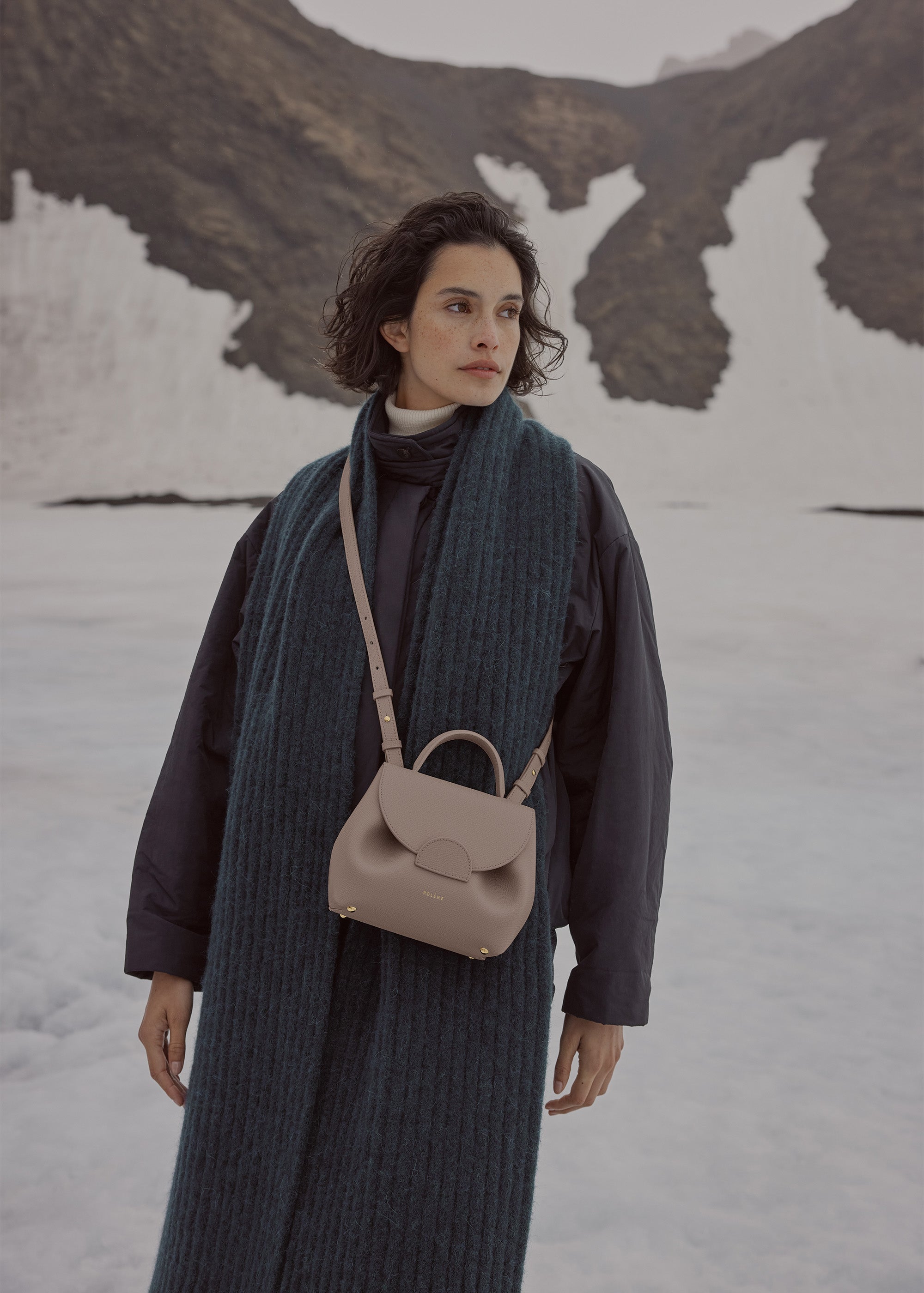 Polène Sac Numéro Un Nano Taupe Grainé