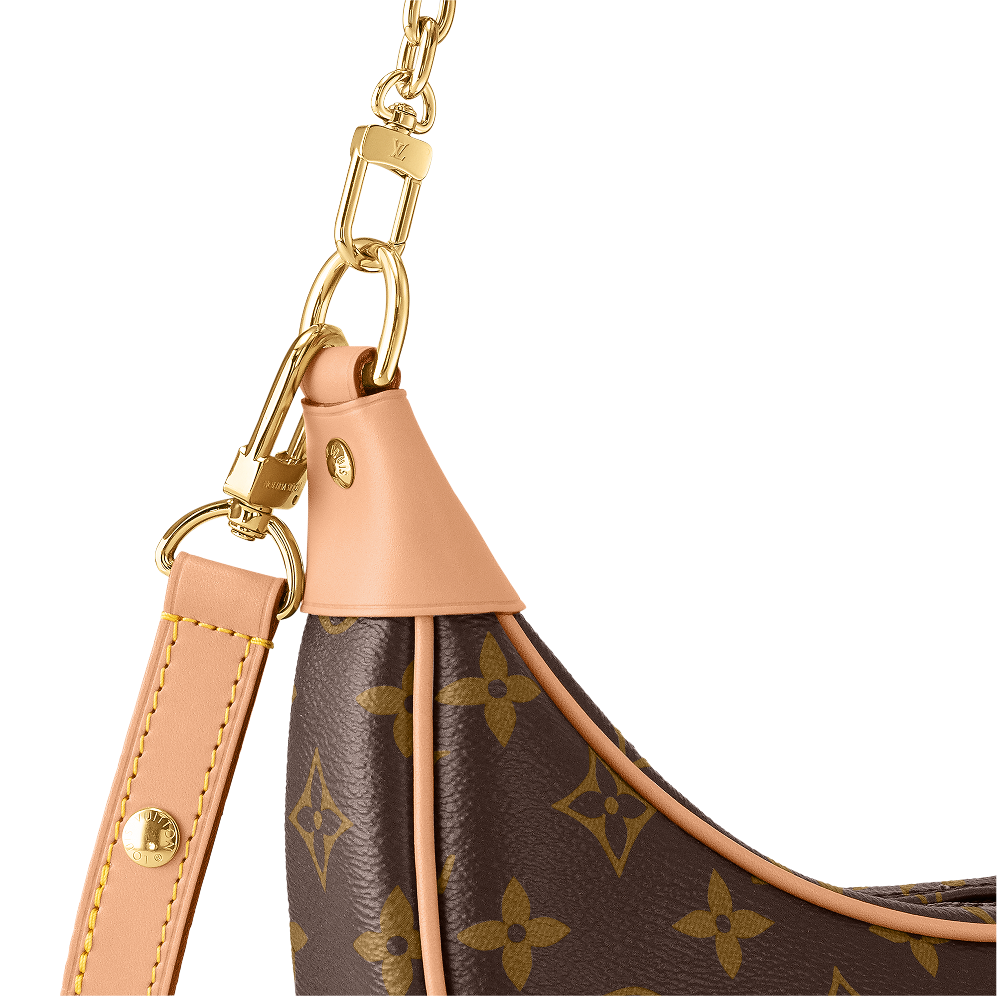LV Sac Loop