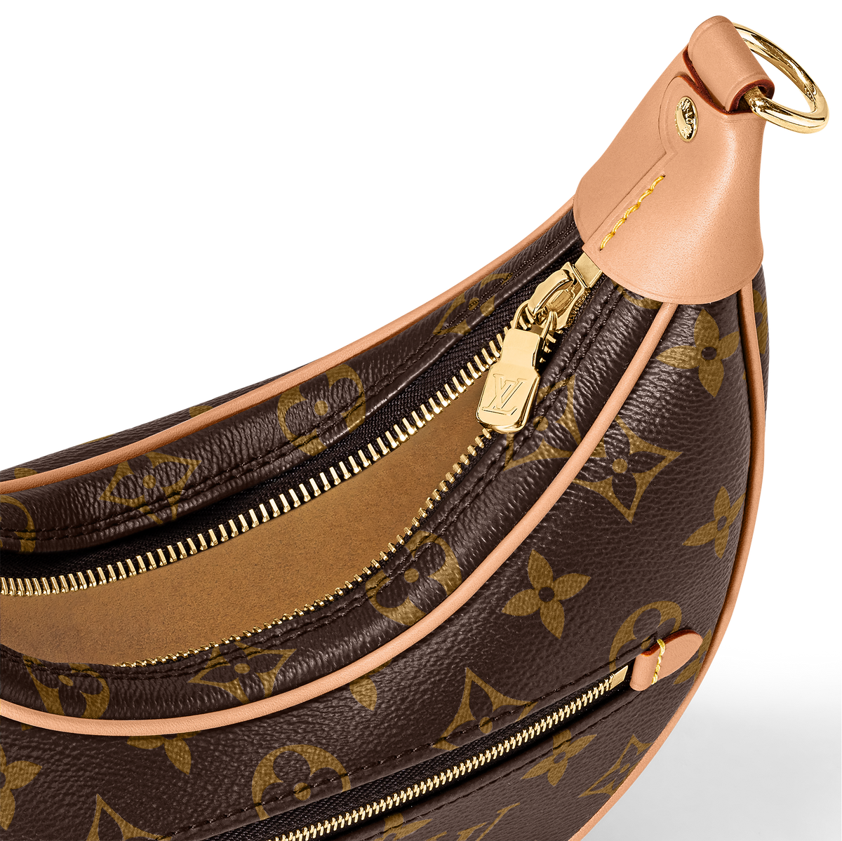 LV Sac Loop